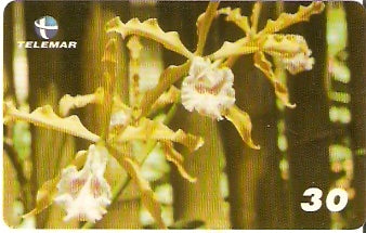 BA-163 - Orquídeas - 04/10