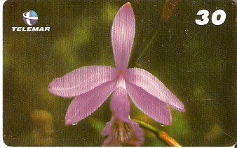 BA-164 - Orquídeas - 05/10