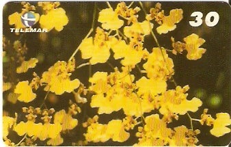 BA-165 - Orquídeas - 06/10