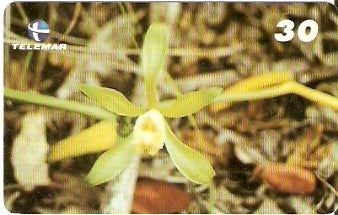 BA-166 - Orquídeas - 07/10