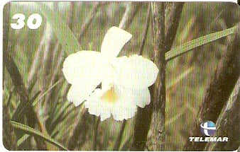 BA-167 - Orquídeas - 08/10