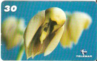 BA-168 - Orquídeas - 09/10