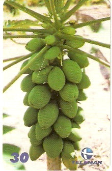PE-580 - Frutas - 08/10