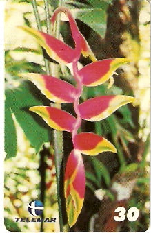 PE-595 - Flores - 6/6