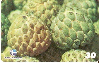 PE-588 - Frutas tropicais - 05/12