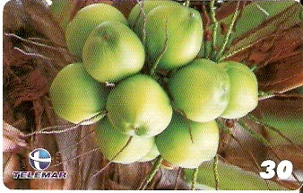 PE-589 - Frutas tropicais - 07/12