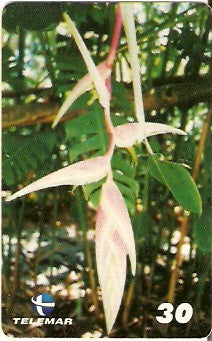 PE-594 - Flores - 5/6