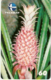 PE-636 - Ananas lucidus