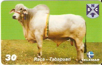 PE-693 - Raças Bovinas - 02/10