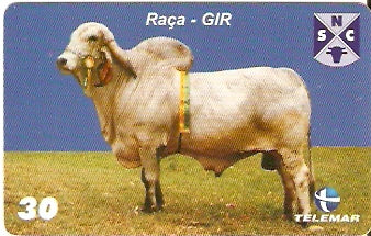 PE-694 - Raças Bovinas - 03/10
