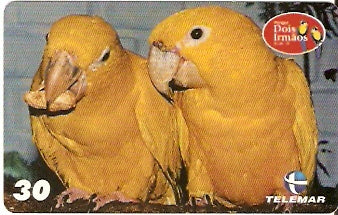 PE-714 - Pq. Dois Irmãos - 01/10