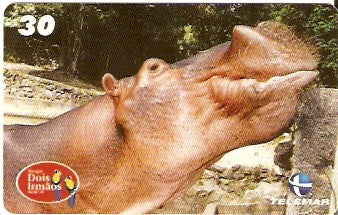 PE-716 - Pq. Dois Irmãos - 03/10