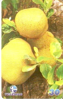 PE-704 - Frutas Tropicais - 09/12