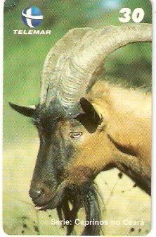 CE-555 - Caprinos - 6/9