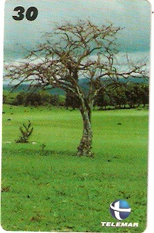 CE-560 - Paisagem - 4/6