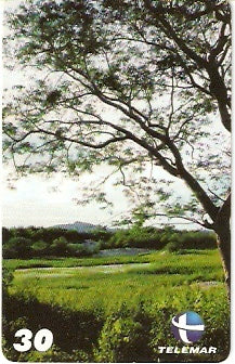 CE-559 - Paisagem - 2/6