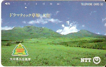 JAP-391-200