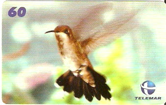 CE-613 - Beija-Flor