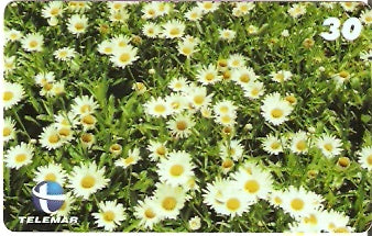 CE-622 - Margarida