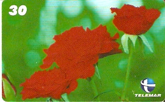 CE-623 - Rosas