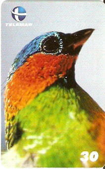 CE-633 - Pintor