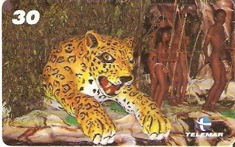 AM-040 - Onça do Festival