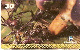 AM-060 - Dança - I2 3/8