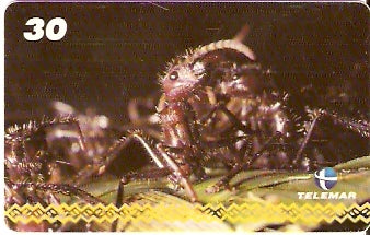 AM-053 - Dança - I1 4/8