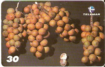 AM-180 - Frutas Regionais - 4/5