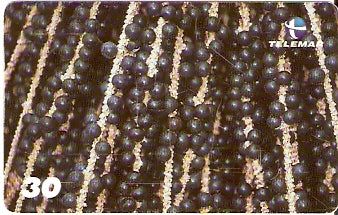 AM-181 - Frutas Regionais - 5/5