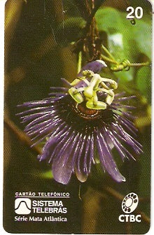CTBC-007 - Flor de Maracujá