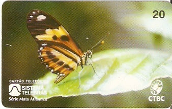CTBC-006 - Borboleta Laranja
