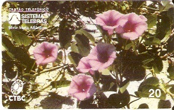 CTBC-020 - Ipoméia