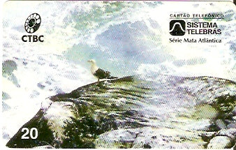 CTBC-021 - Ano dos Oceanos