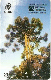 CTBC-024 - Araucária