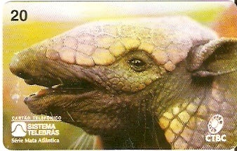 CTBC-026 - Tatu