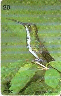 CTBC-117 - Beija-Flor