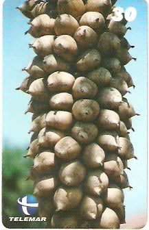 PI-054 - Coco Babaçu