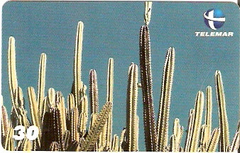 PI-075 - Mandacaru - I1