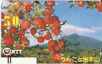 JAP-410-031