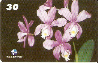 RJ-1706 - Orquídeas - 05/10