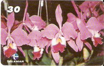 RJ-1707 - Orquídeas - 06/10