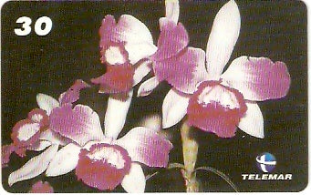 RJ-1703 - Orquídeas - 02/10