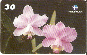 RJ-1704 - Orquídeas - 03/10