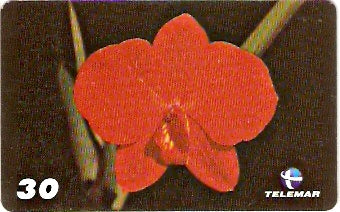 RJ-1705 - Orquídeas - 04/10