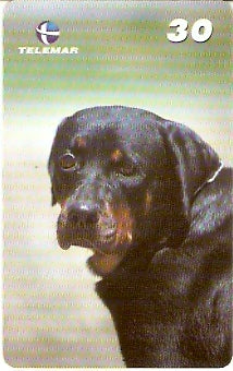 RJ-1761 - Polícia Militar - 2/4