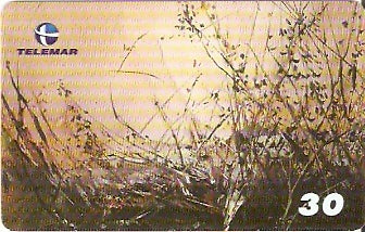 RJ-1756 - Luzes do Oriente - 1/4