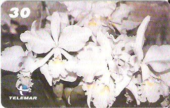 RJ-1796 - Orquídeas - 07/10