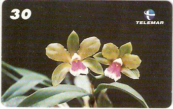 RJ-1797 - Orquídeas - 08/10