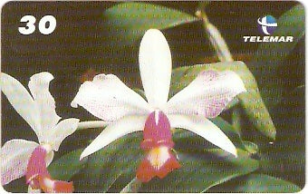 RJ-1799 - Orquídeas - 10/10